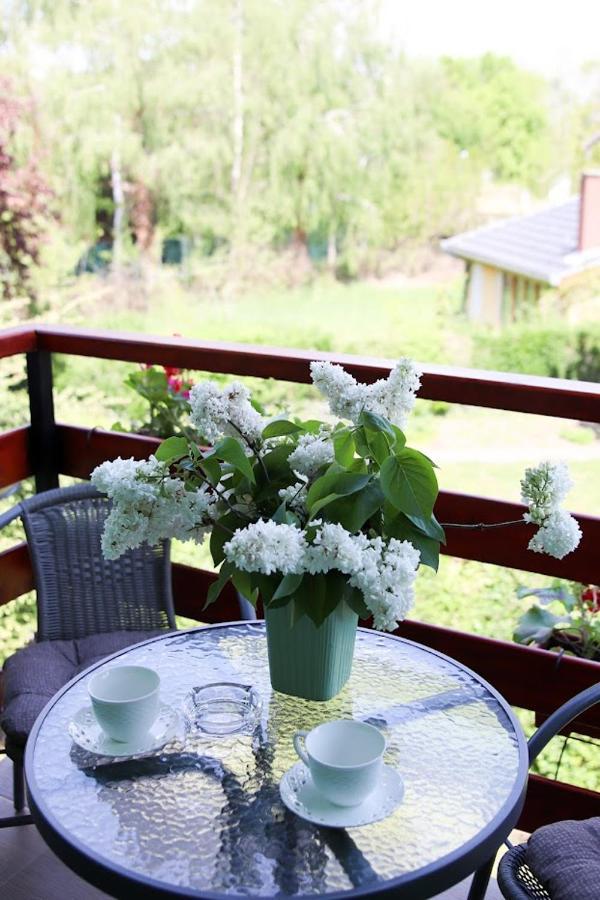 Appartement Blue Harmony à Palić Extérieur photo